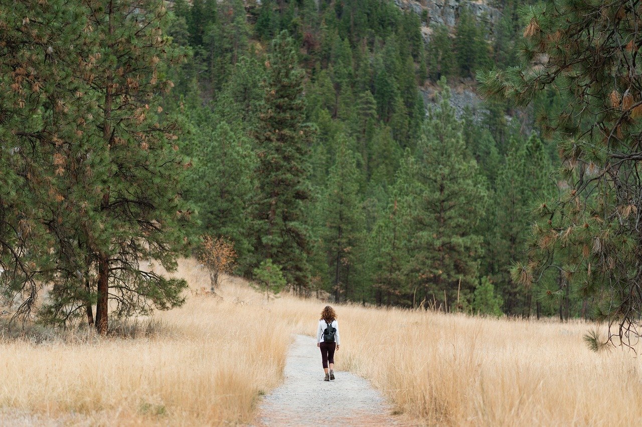 How Climate Change is Affecting Hiking Trails